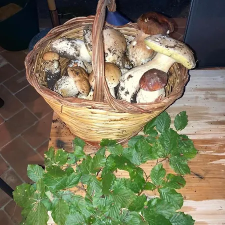 Il Peperino קסטל דל פיאנו
