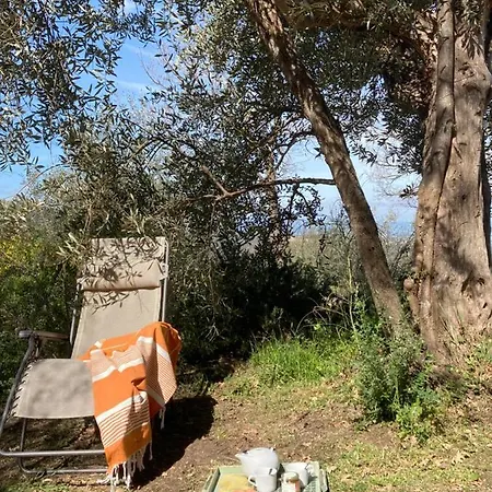 Διαμέρισμα Il Peperino *